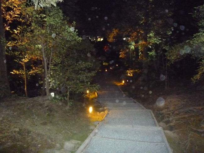 八坂神社内で一番高い場所<br /><br />京都を見下ろせた！