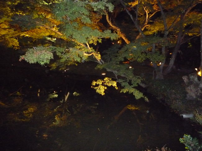 きれいすぎるーーーー！！