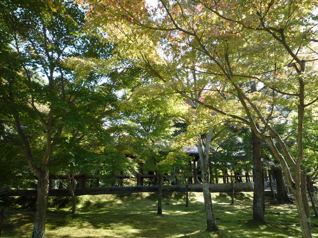 東福寺の通天橋