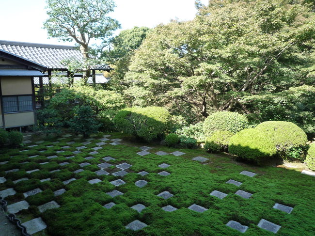 その奥<br /><br />正方形のあるモダンな庭