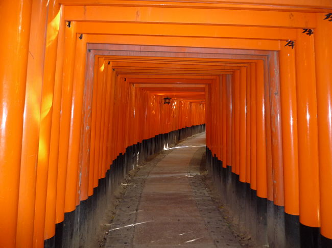 エンドレス〜。<br /><br />最終的にかなり山奥まで進みました。<br /><br />でも、ブーツをはいていたのと、ひとりで孤独すぎたということで、7腹目あたりで引き返しました。