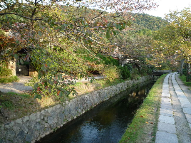 気を取り直して、哲学の道の全貌を歩き続ける。<br /><br />小さな発見がたくさんできて、好奇心がかき立てられました。