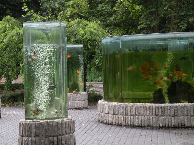 上海動物園<br /><br />金魚が展示されています･･･