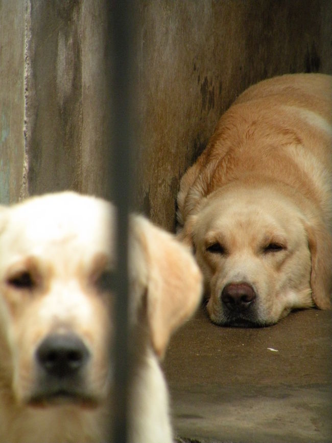 ちょっとかわいそう･･･？