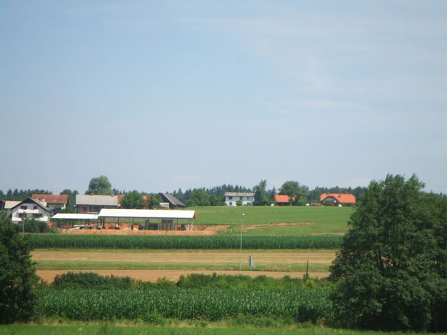 のんびりした風景です。