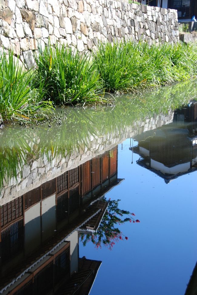 鏡みたい。　♪