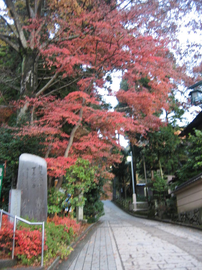 さあ、今から上り坂です！