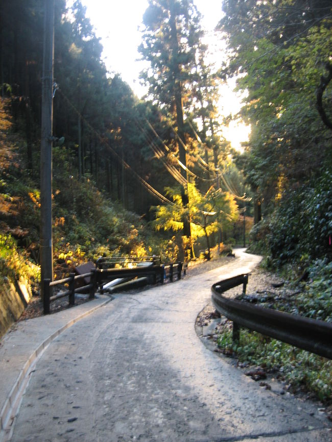 写真ではあまり伝わりませんが・・・<br />結構急な坂道なんです。<br /><br />息、かなり切れてますっ。。。