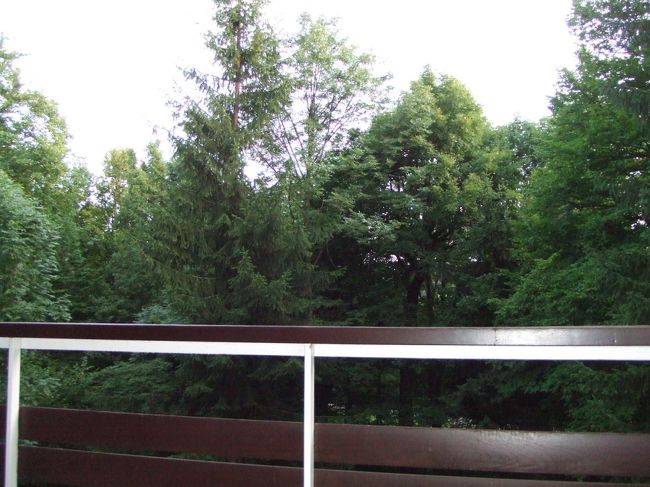 ベランダの外は森。