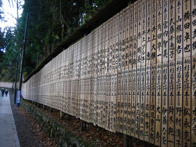 平坦な道が続きます。<br />寒くて寒くてダウンを着てきたのですが、ここまでくると汗だく！いい汗かいてます！！