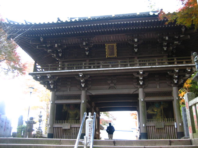 毎日ここまで登山してる人とか、いるんだろうなー