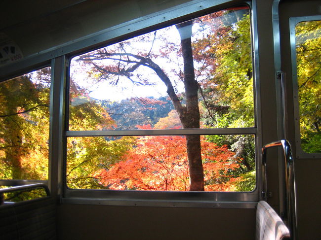 ケーブルカーからの景色もすてき！