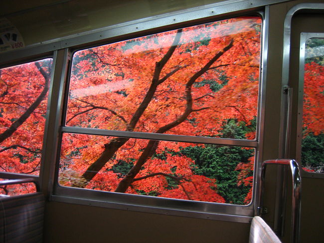 この景色は、ケーブルカーに乗らないと見られない景色です！<br /><br />今回はガラガラなので見放題でしたが、他のお客さんが多い時は、なるべく右側を陣取った方がいいかもしれません！<br />右側の景色の方が、きれいな紅葉が見れたように思います。