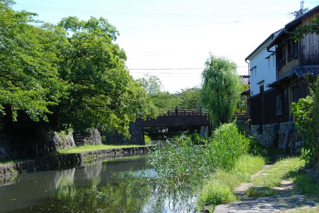 八幡堀。<br /><br /><br />緑がとても鮮やか。