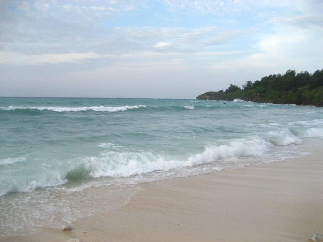 ビーサンを忘れて、海に入れず。波打ち際で貝やサンゴの死骸を探してのんびりしました。