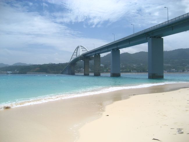 いよいよ瀬底島ともお別れです。<br />リゾート開発の爪あとが残り、少し悲しい気持ちになって瀬底大橋を渡り、本島に戻りました。