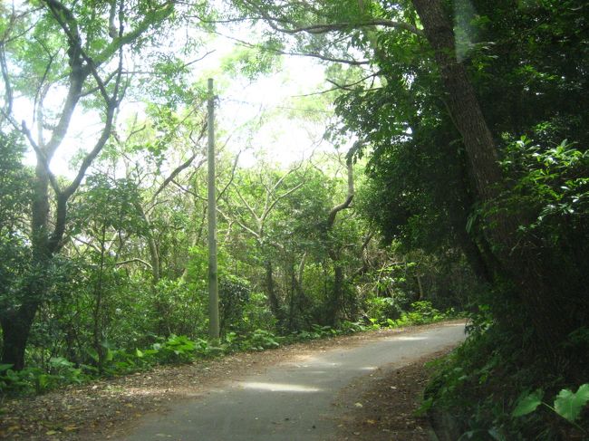 こんな道を車で徐行運転していきます。<br />ちょっと木の枝で車に傷がつきました＾＾；<br />