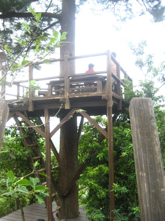 到着しました！<br />沖縄の空・海・森を一望できる樹の上にあるテラスは、カフェタイムの人気スペースです。
