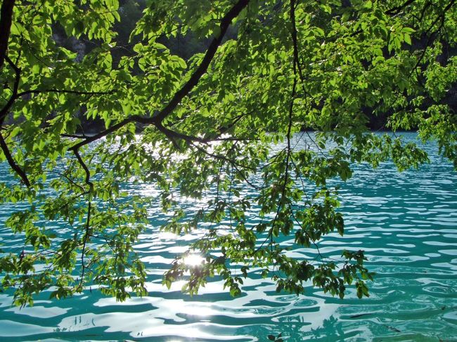 キラキラです。