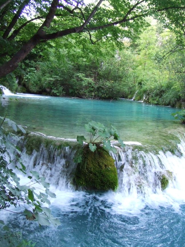 マイナスイオンが満ちています。