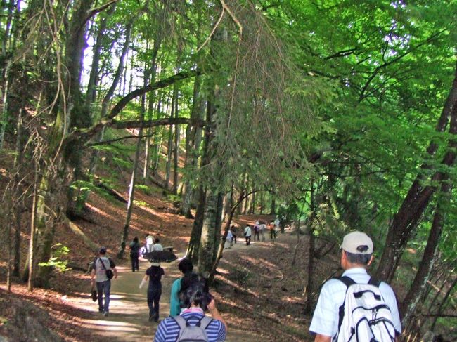 ボートを降りて、森の中を進みます。