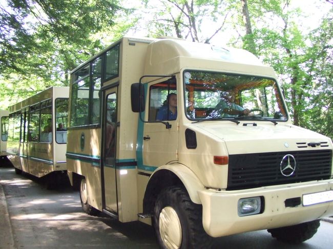 あ〜〜〜、凄く奇麗だった！<br />澄んだ空気もたくさん吸いました。<br /><br />こちらの電動バスに乗って戻ります。