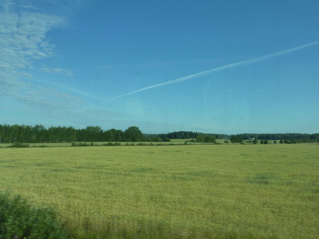 なんだか、心が洗われる景色です。