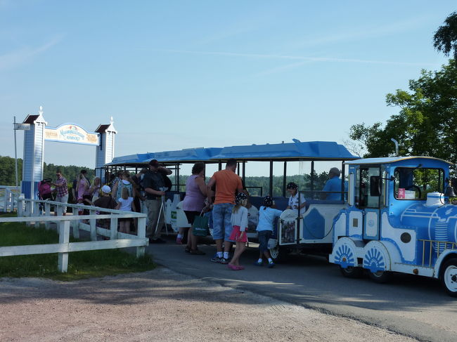 さっきのバスも停まってる！