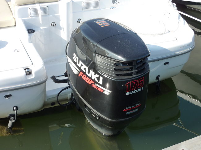 あっ、SUZUKIだ！