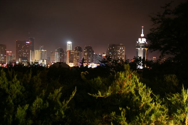 夜景を見に彼女のお兄さんに車を出して貰いました。<br />テレビ塔に登るつもりがもう閉館していたようです。<br />写真はその下にある展望台からの眺めです。<br /><br />ところで、お兄さんは新婚さんで、奥さんは妊婦さん、だいぶお腹が大きくなっていました。<br />お兄さんは奥さんの仕事をよく手伝ってくれるそうで、例えば奥さんが夕食を作れば、お兄さんが洗い受けを手伝う…など。<br /><br />夜、結婚式のビデオを見せて貰いました。<br />中国の結婚式はまる一日かけて家族や親戚同士でお祝いをするそうです。中国人の家族の絆の強さを感じました。日本ではだんだん薄れてきている貴重なものを中国で見たような気がします。