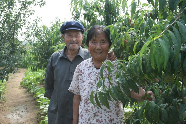 それから、彼女のお母さんの実家へ。<br /><br />彼女のおじいさんはその昔、日本の殖民地下にあったとき、強制的に日本語を教えられたといい、日本語は好きではないと言っていました。<br /><br />「尊いから、にほんではなく、にっぽんといいなさい」と教え込まれたそうです。<br />また「中国人は犬と同じだ」とも言われたそうです。<br /><br />そういう話を聞いているうちに、止め処もなく涙が出てきてしまいました。一緒にいた彼女は、私の涙にもらい泣きをしていました。そして<br />「あなたのせいではないですから、泣かないで」と言われました。<br /><br />歴史の教科書以上のものを感じました。<br />戦争は本当に何も生み出しません。<br /><br />せめて、おじいさんが日本語を習ったことで、その後日本語を教える先生になり、また１９５０年台に日本を周遊したと聞き、少しだけホッとしました。<br /><br />ご家族との別れのとき<br />「あなたと出逢ったのは、縁です。あなたが中国に来た時は、ここがあなたの家ですからまた必ず帰ってきてください」と言われました。