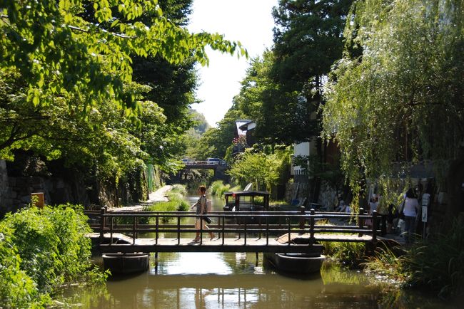 まったく別の観光地にきたみたいです。