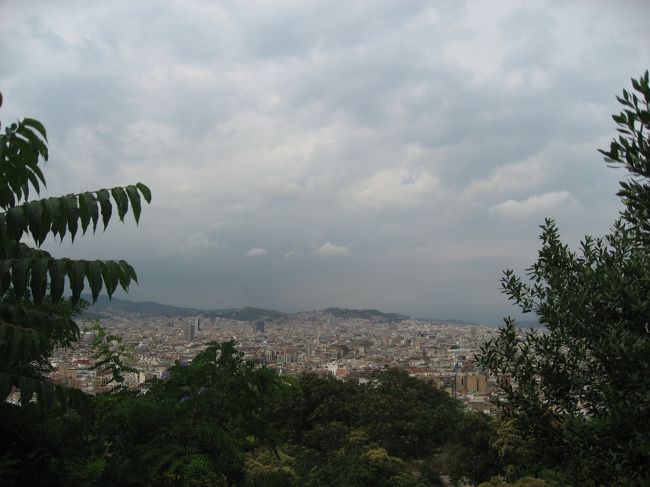 フニクラ降りてフラフラしてたら茂みが。<br />そこからじっと街を見ていたら