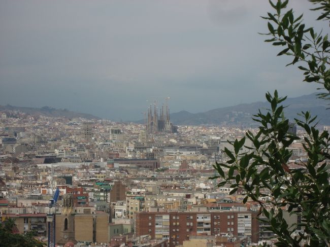 街の中でも圧倒的な高さを誇るサグラダファミリア！