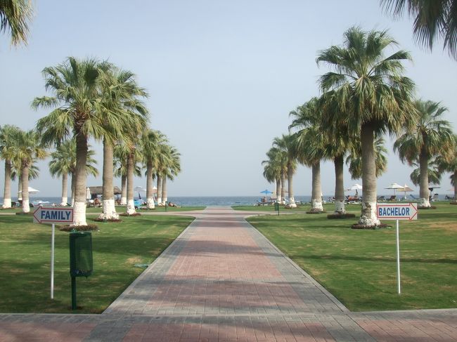 シーラインリゾートっていうビーチです。<br /><br />左側にファミリーっていう看板があるように、左は家族向けプール、右側は男のみの場合です。<br /><br />男のみのプールはしーんと静かか、男子校ばりにはしゃいで飛び込みとかやってるかどっちかでした（笑