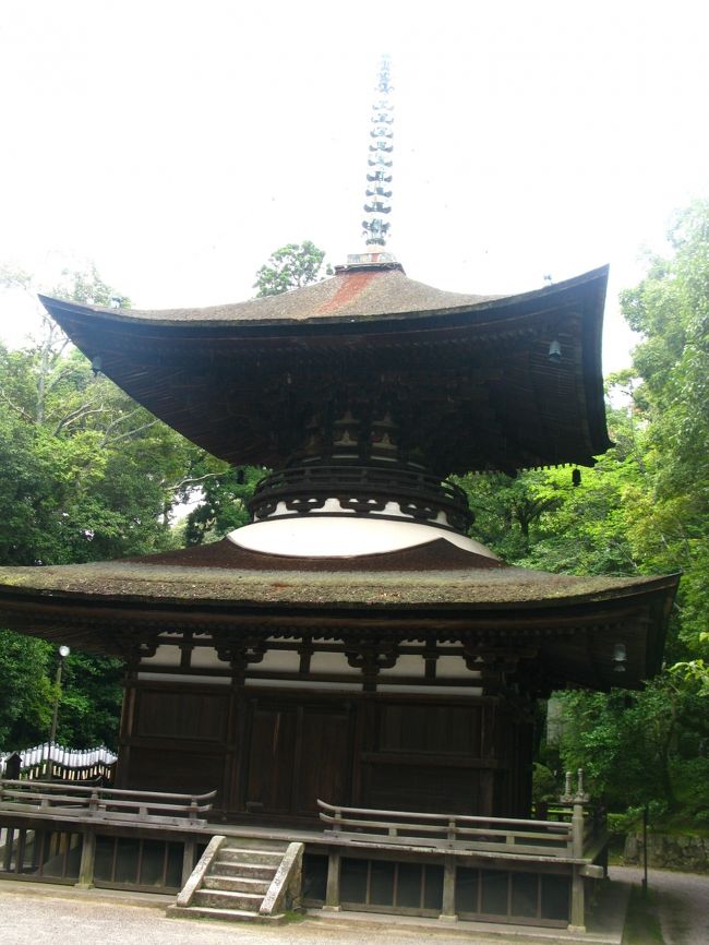 近江の古代寺院と造営氏族 発掘した遺構と軒瓦から謎を解く