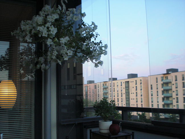 おいしい食事と楽しい会話を堪能＆時差ボケという三つ巴状態な<br />親子３人。。。<br />いつしか視線が遠い彼方へ。。。<br /><br />テラスから最後に１枚。<br />ウッドデッキになっていたこのテラスには手すりの上に、開閉できるガラス戸がついていました。