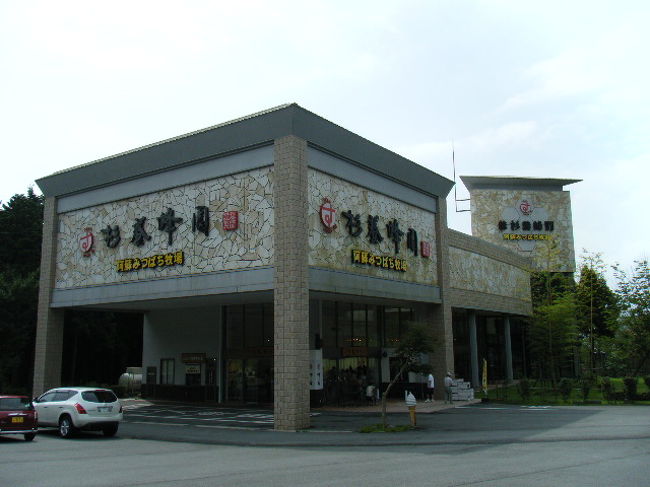 次に行ったのは「阿蘇みつばち牧場」<br /><br />みつばちの生態などを見ることができます。<br />たくさんのみつばちが外をブンブン飛んでいます。<br /><br />そしてここではたくさんの蜂蜜が売られています。<br /><br />イチゴや巨峰などのフルーツ蜂蜜を水で薄めたものの<br />試飲もたくさんできます。<br /><br />いろいろ悩んで、ノーマルな蜂蜜を１本買いました。