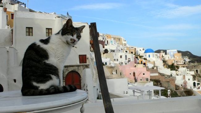 やっぱり、どこかポーズをつけているような…