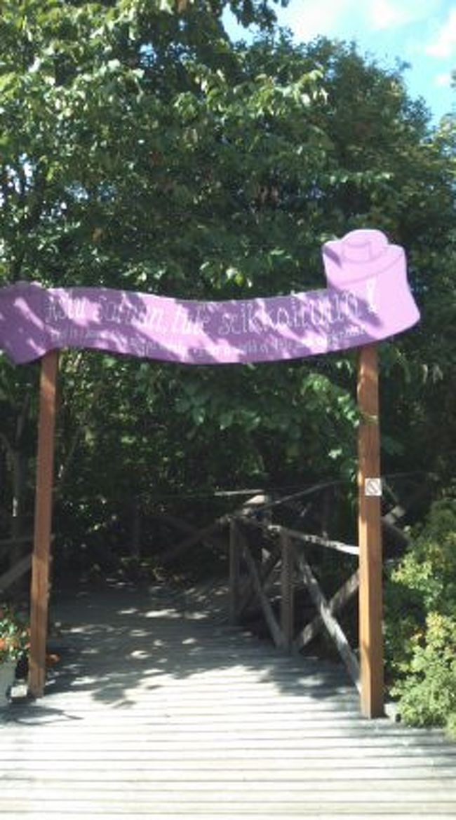 さぁ、ニョロニョロの洞窟へ！！！！！！！！！