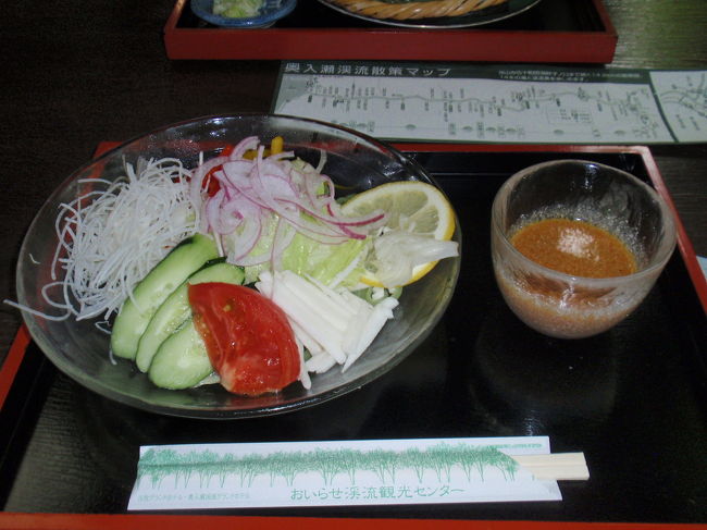 ここで，昼食にしましょ。<br />これは，サラダうどん。<br />といっても，クマザサのうどんです。<br />ヘルシーでしょ。