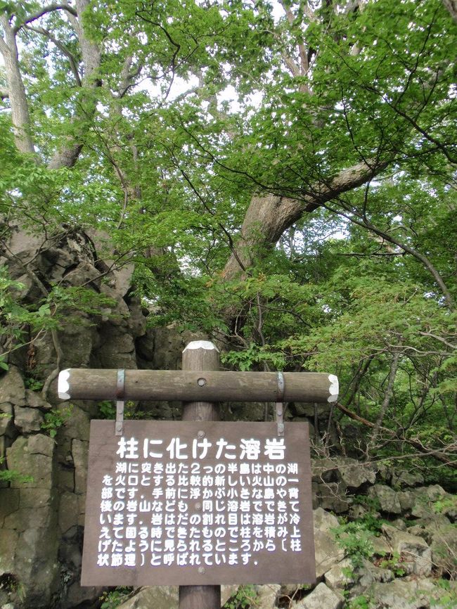 柱に化けた溶岩？<br />前来たときにもあったっけ？<br />