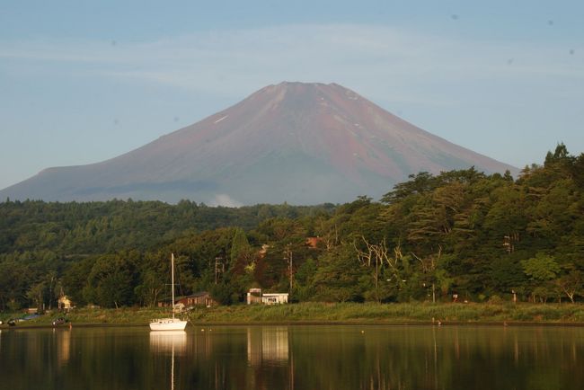 ちょっとアップ