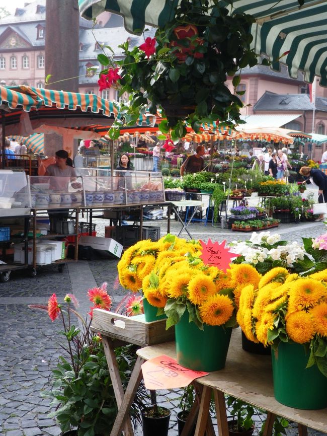 数日滞在するならお花買いたかったな〜<br /><br />ゴッホの絵に描かれているようなひまわり☆