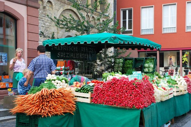 きれいに陳列された野菜たち