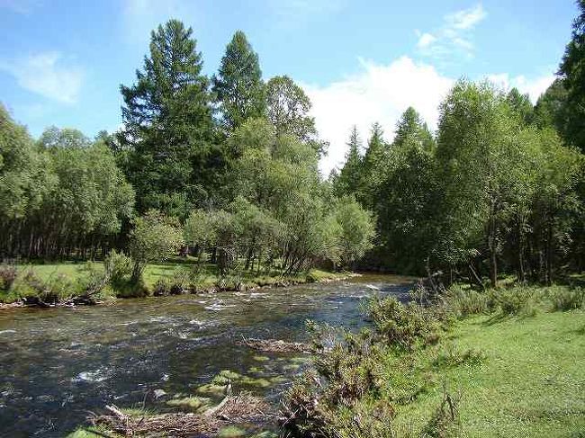 清流で川遊びもできます