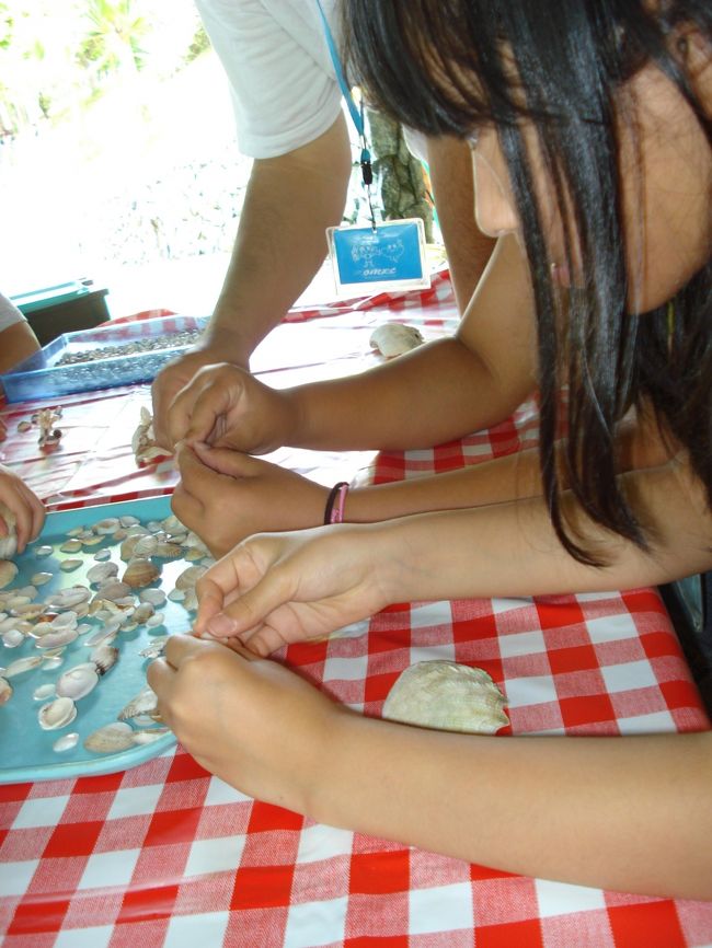 一つ目は　海からの贈り物　です<br /><br />カードたてを作ります<br />はじめに土台になる大きな貝を選びます