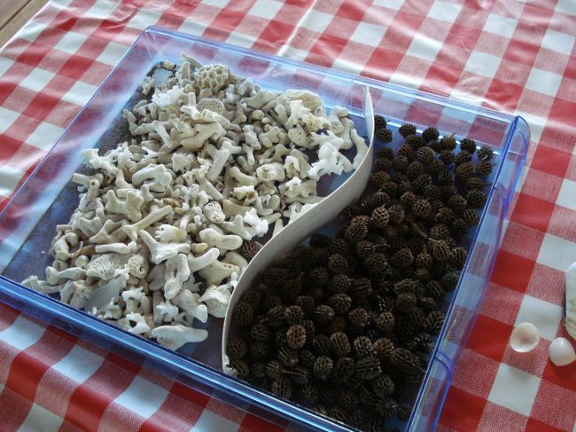 いろいろあって<br />なかなか決められません