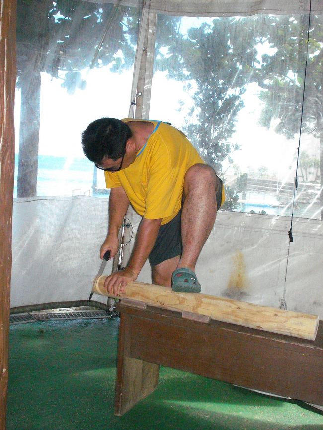 お父さんは木を切って