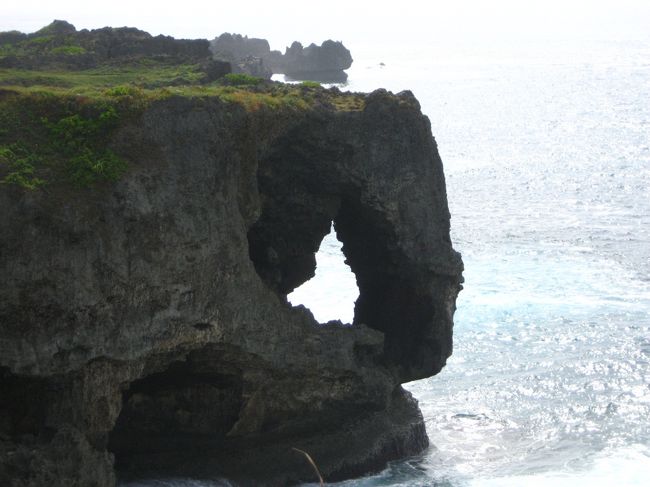 まるで象の鼻みたいですね。